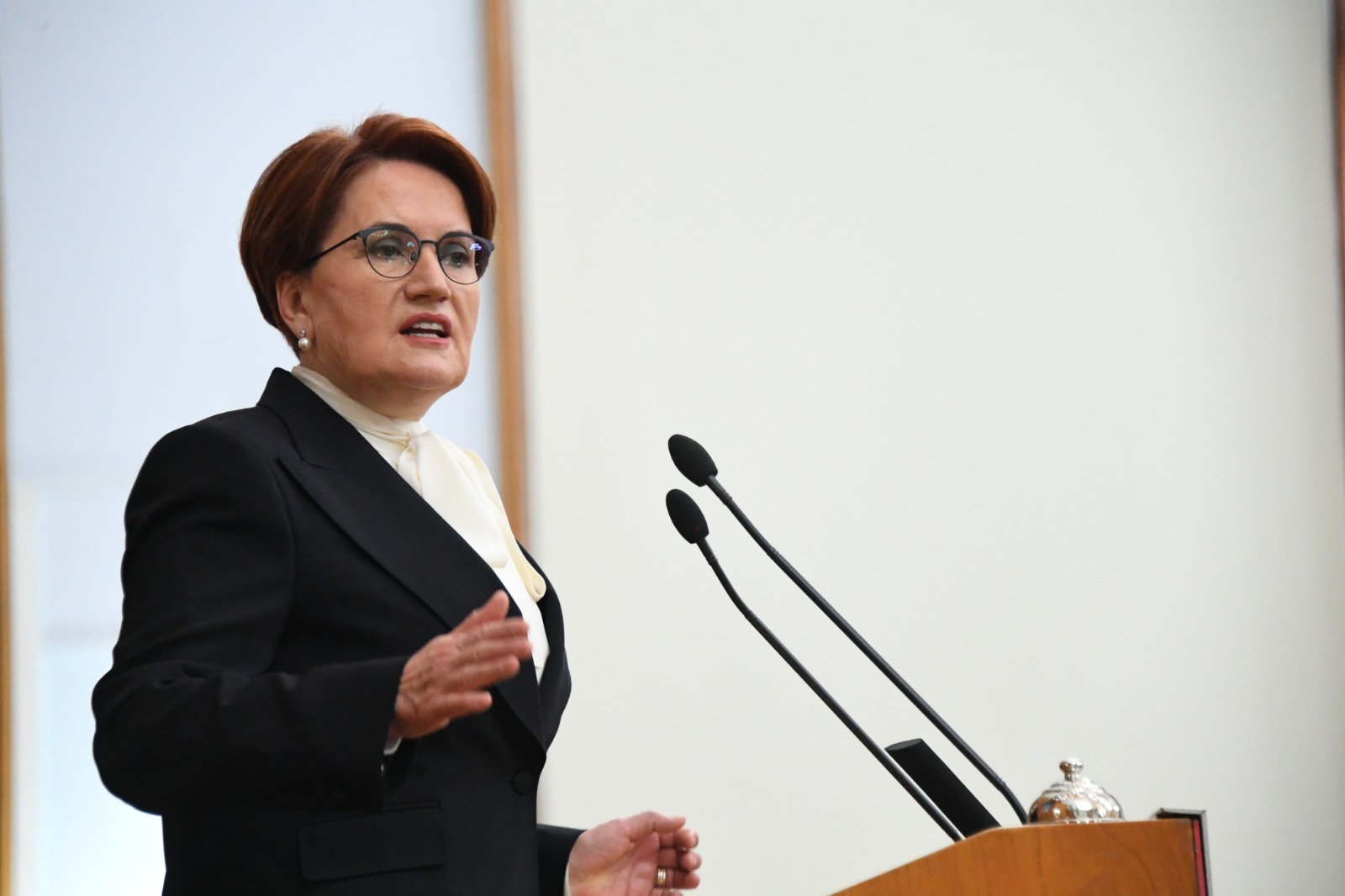 Meral Akşener: “Siyasetçiler gelir geçer; Türk Devleti, Ebed Müddettir!”
