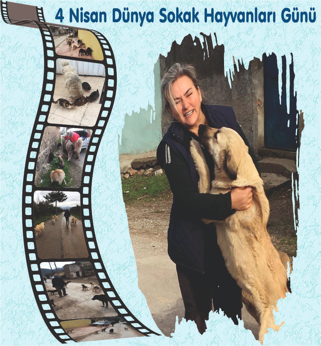 Nimet Özdemir: “4 Nisan Dünya Sokak Hayvanları Günü!”